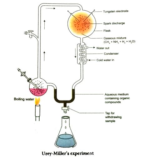 miller urey experiment results|miller and urey experiment proved.